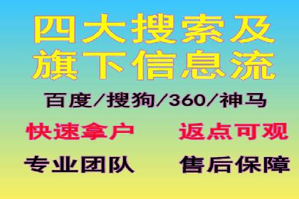行业领先SEM服务公司案例研究